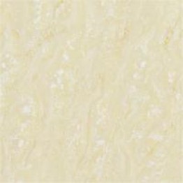 Gạch Trường Thịnh SIMPLICITY JP8883